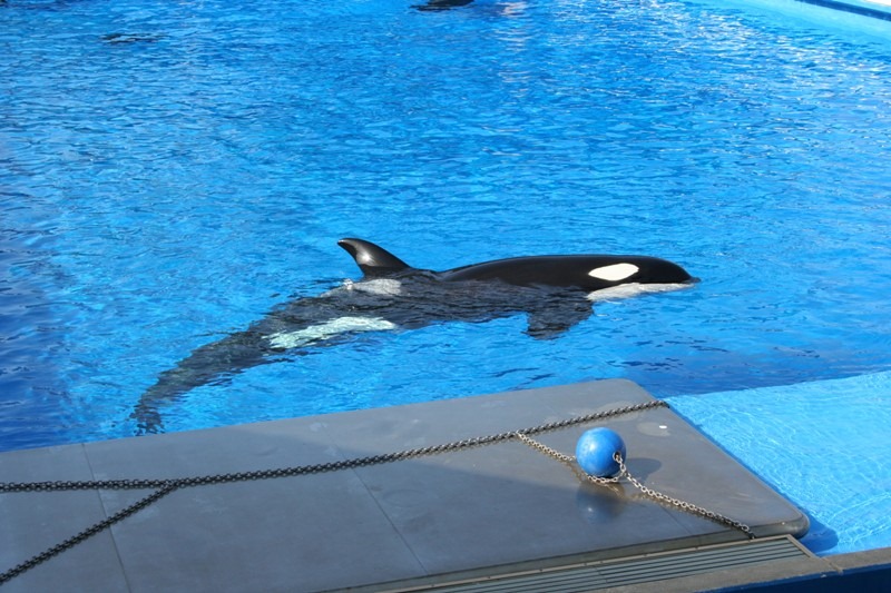 (Ventre et.al., 2013)